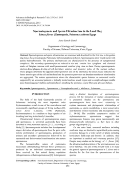 Spermatogenesis and Sperm Ultrastructure in the Land Slug Limax Flavus (Gastropoda, Pulmonata) from Egypt