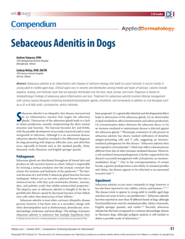 Sebaceous Adenitis in Dogs