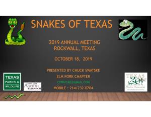 Snakes of Texas Condensed