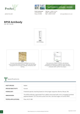 RPS9 Antibody Cat
