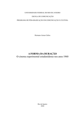 A FORMA DA DURAÇÃO O Cinema Experimental Estadunidense Nos Anos 1960