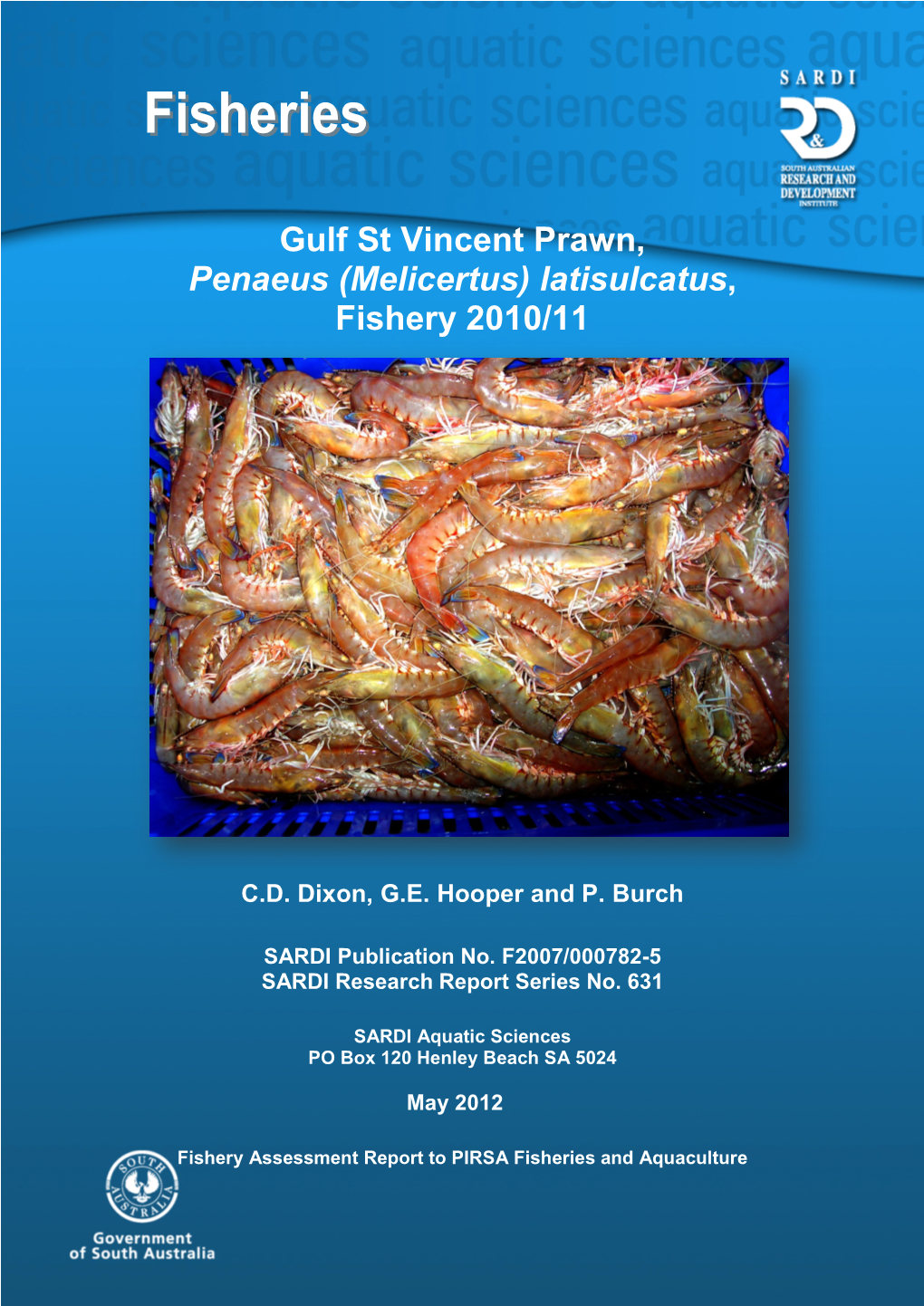Gulf St Vincent Prawn, Penaeus (Melicertus) Latisulcatus, Fishery 2010/11