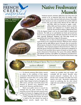 Native Freshwater Mussels