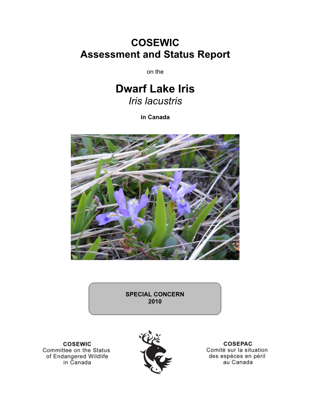 Cosewic Assessment and Status Report on the Dwarf Lake Iris (Iris Lacustris) in Canada, 2010