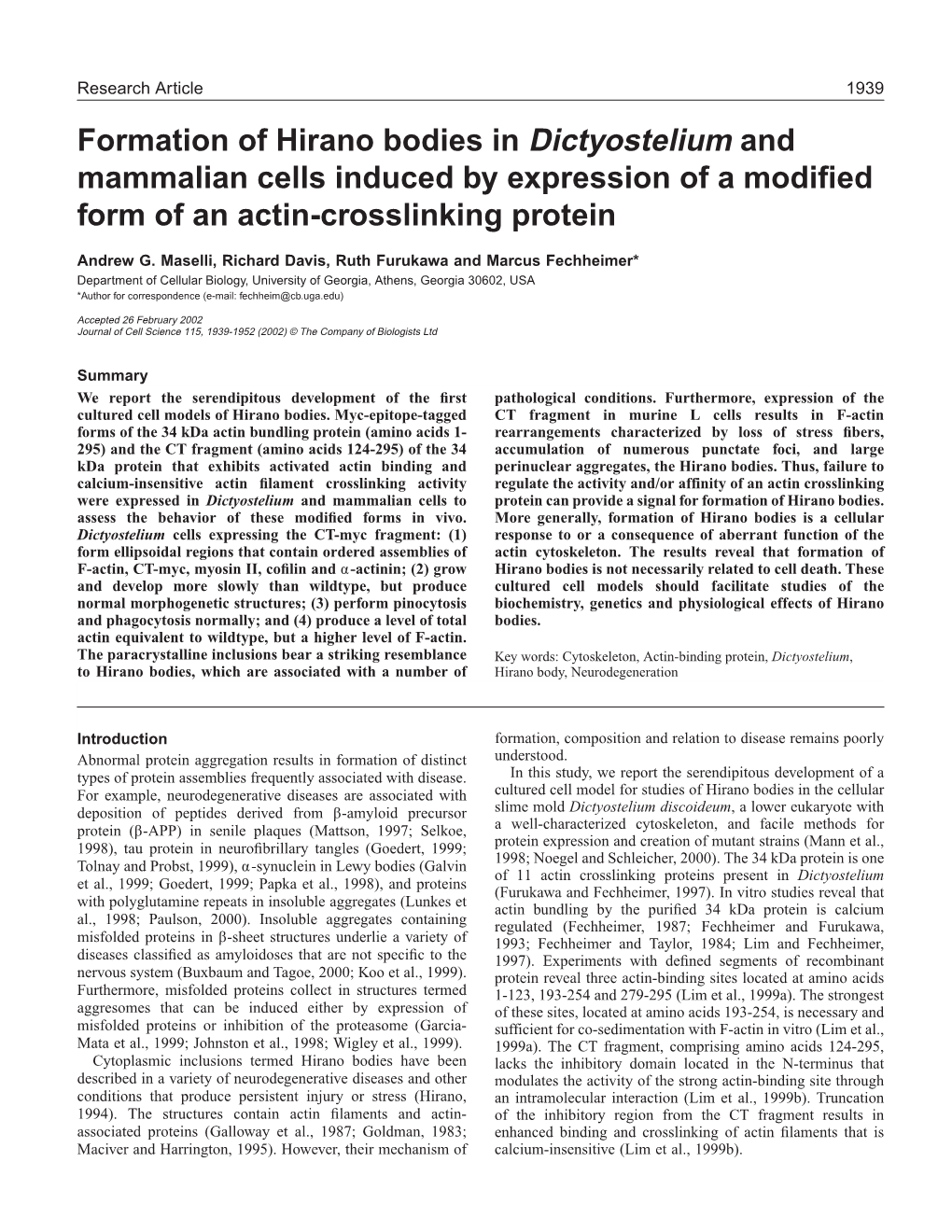 Formation of Hirano Bodies in Cell Culture 1941