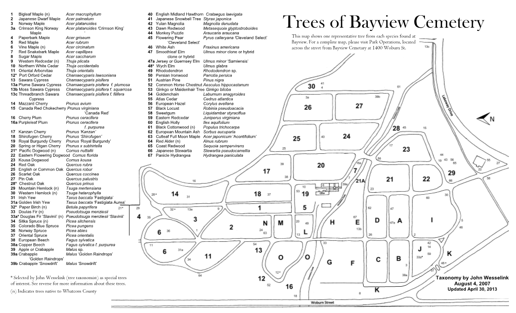 Trees of Bayview Cemetery