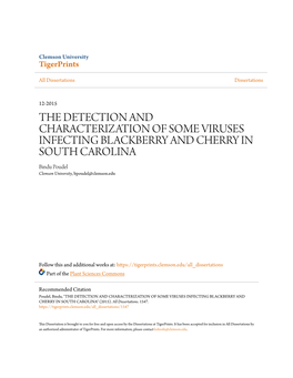 THE DETECTION and CHARACTERIZATION of SOME VIRUSES INFECTING BLACKBERRY and CHERRY in SOUTH CAROLINA Bindu Poudel Clemson University, Bpoudel@Clemson.Edu