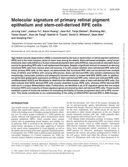 Molecular Signature of Primary Retinal Pigment Epithelium and Stem-Cell-Derived RPE Cells