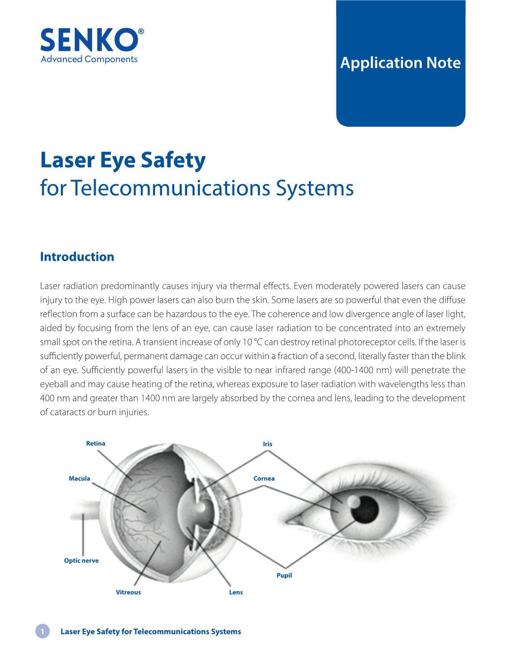 Laser Eye Safety for Telecommunications Systems