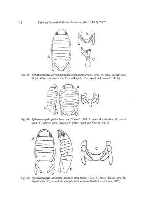An Illustrated Key to the Malacostraca (Crustacea) of the Northern Arabian