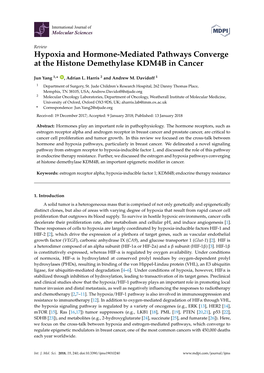 Hypoxia and Hormone-Mediated Pathways Converge at the Histone Demethylase KDM4B in Cancer