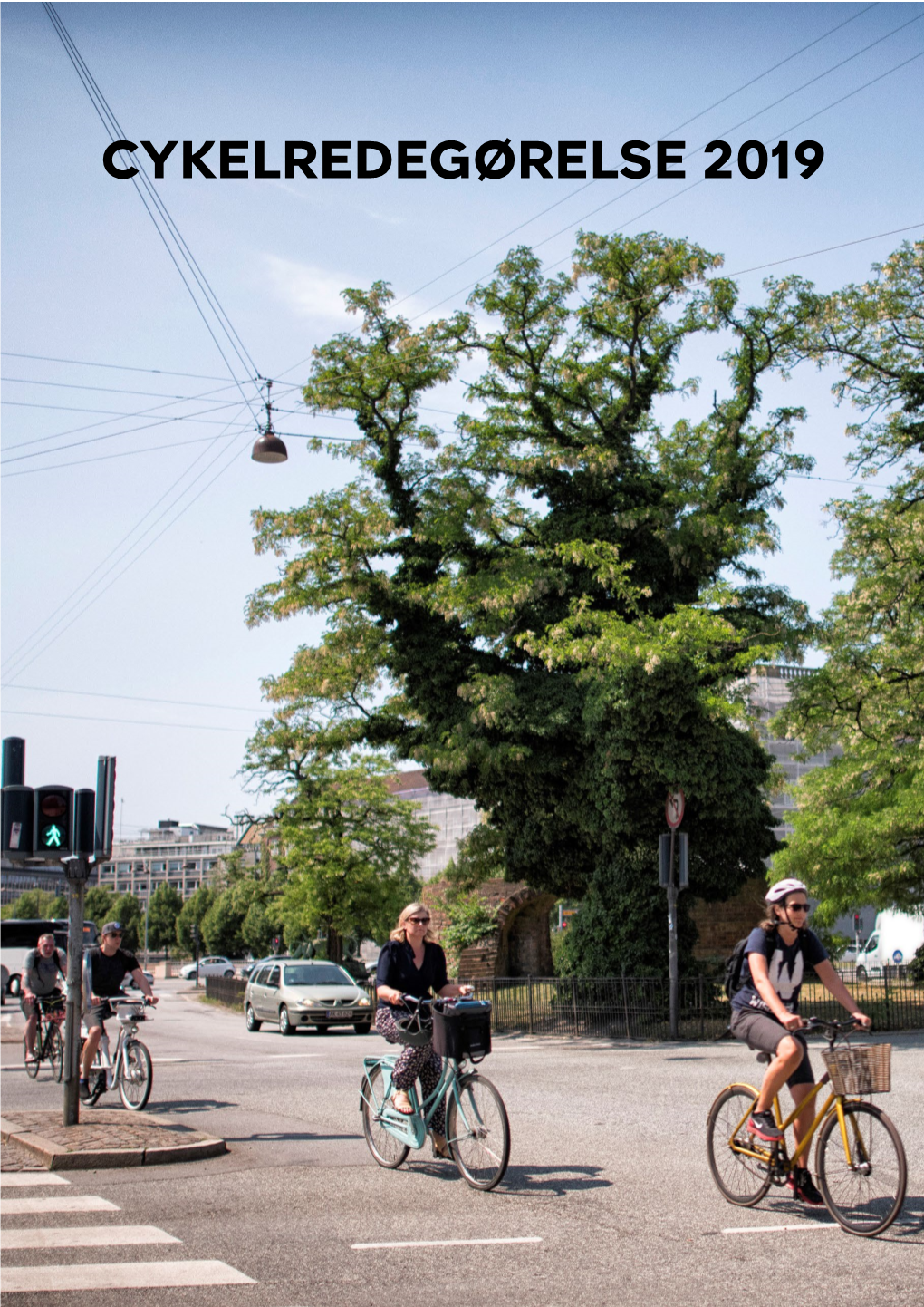 Cykelredegørelse 2019