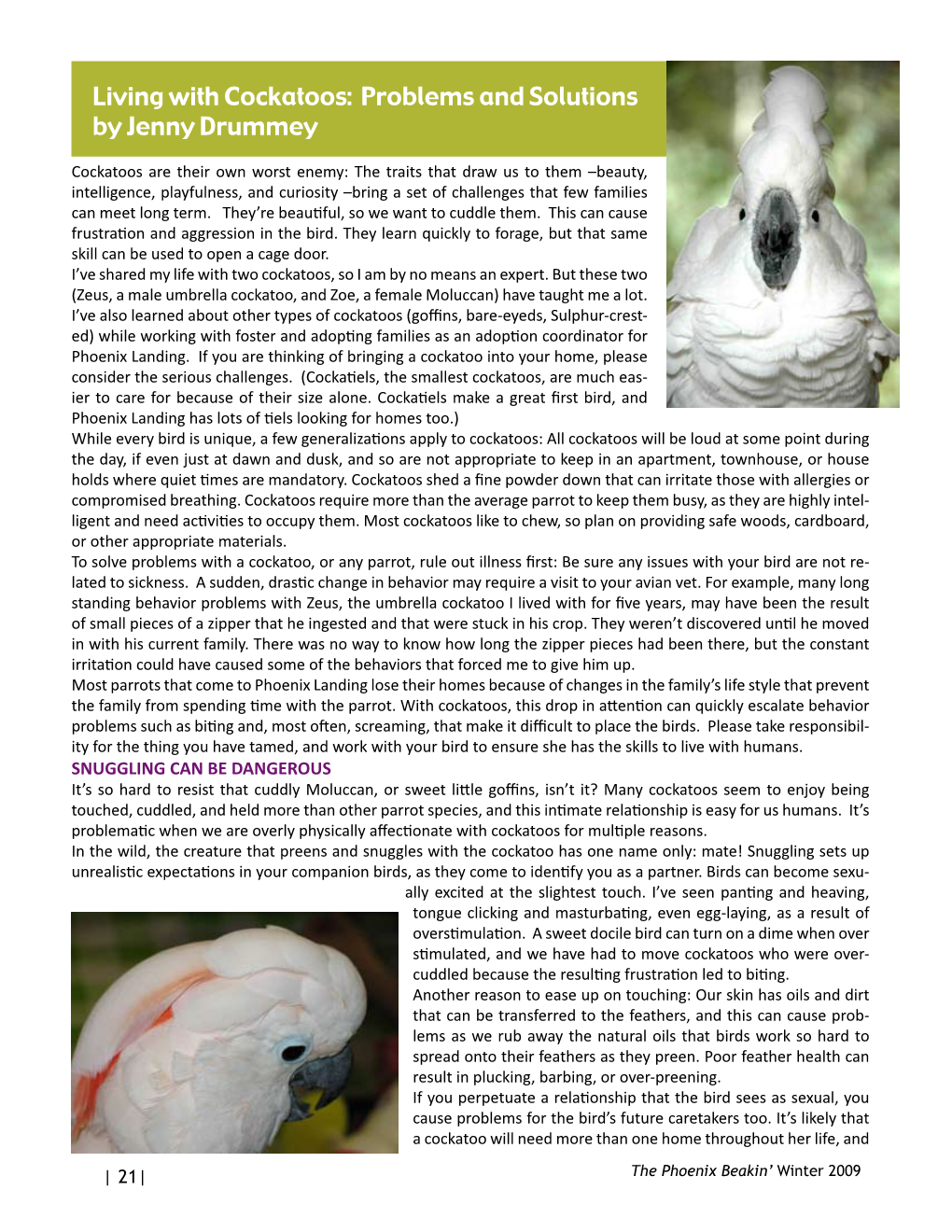 Living with Cockatoos: Problems and Solutions by Jenny Drummey