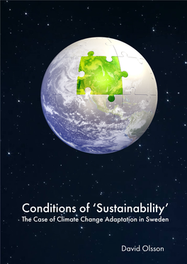 Conditions of 'Sustainability'