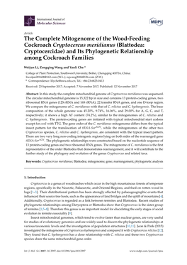 Blattodea: Cryptocercidae) and Its Phylogenetic Relationship Among Cockroach Families