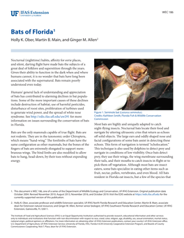 Bats of Florida1 Holly K