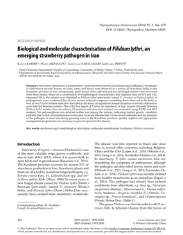 Biological and Molecular Characterisation of Pilidium Lythri, an Emerging Strawberry Pathogen in Iran