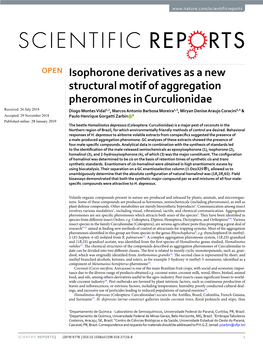 Isophorone Derivatives As a New Structural Motif of Aggregation