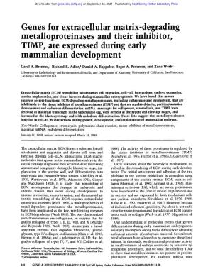 Genes for Extracellular Matrix-Degrading Metalloproteinases and Their Inhibitor, TIMP, Are Expressed During Early Mammalian Development