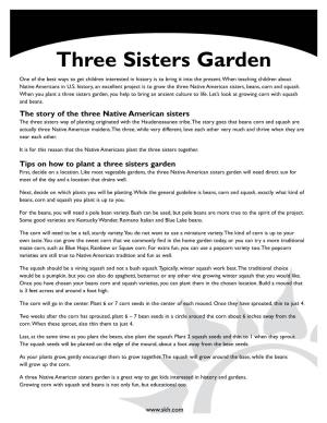 Three Sisters Garden One of the Best Ways to Get Children Interested in History Is to Bring It Into the Present
