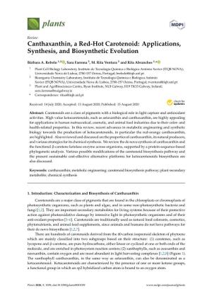Canthaxanthin, a Red-Hot Carotenoid: Applications, Synthesis, and Biosynthetic Evolution