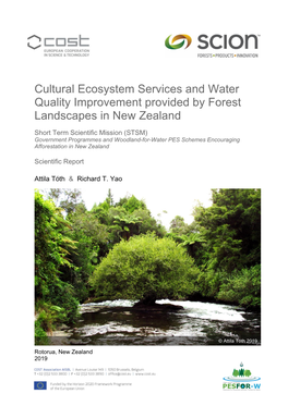 Cultural Ecosystem Services and Water Quality Improvement Provided by Forest Landscapes in New Zealand