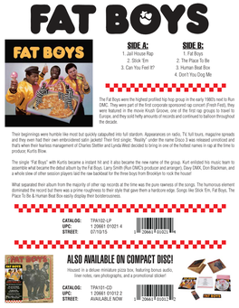TPA 102 FAT BOYS Fat Boys LP