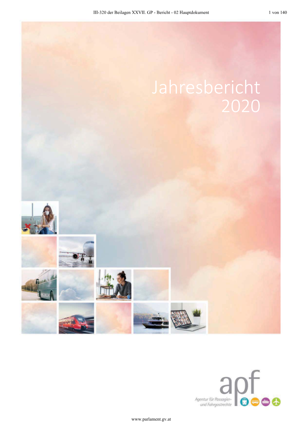 Jahresbericht 2020