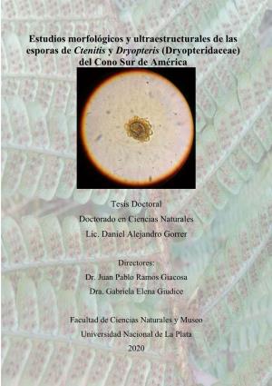 Estudios Morfológicos Y Ultraestructurales De Las Esporas De Ctenitis Y Dryopteris (Dryopteridaceae) Del Cono Sur De América