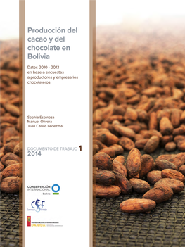 Producción Del Cacao Y Del Chocolate En Bolivia