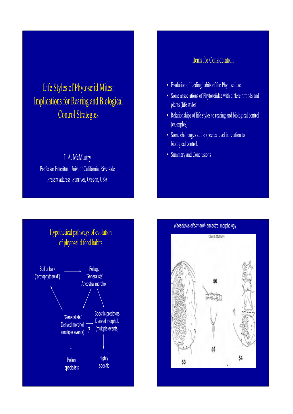 Life Styles of Phytoseiid Mites: Implications for Rearing And