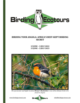 Birding Tour Angola: Africa’S Best-Kept Birding Secret