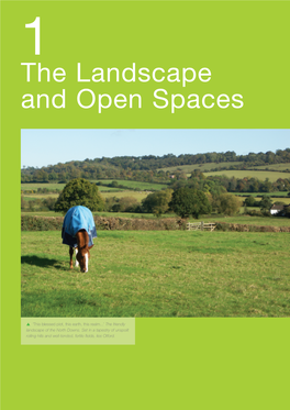 1 the Landscape and Open Spaces
