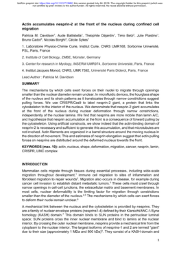 Actin Accumulates Nesprin-2 at the Front of the Nucleus During Confined Cell Migration Patricia M