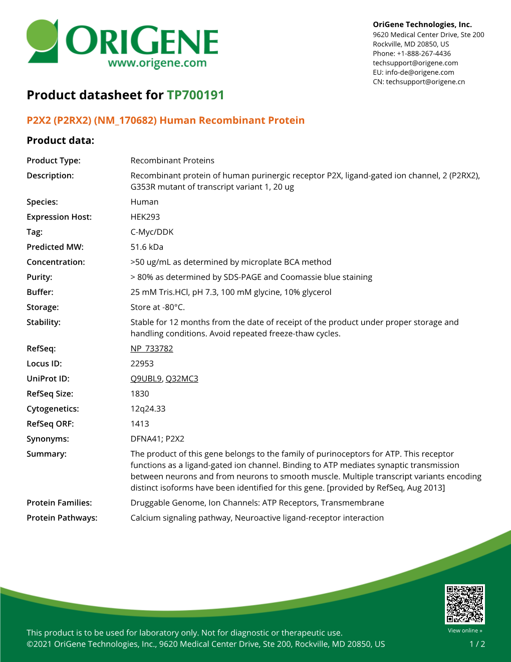 P2X2 (P2RX2) (NM 170682) Human Recombinant Protein Product Data