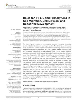 Roles for IFT172 and Primary Cilia in Cell Migration, Cell Division, and Neocortex Development