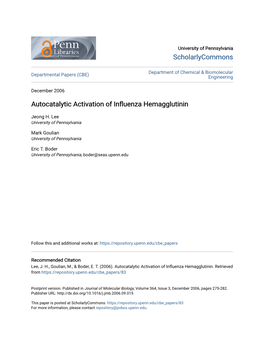 Autocatalytic Activation of Influenza Hemagglutinin