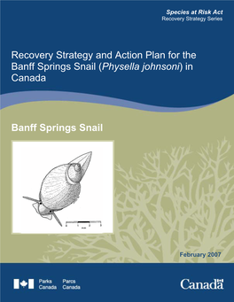 Recovery Strategy and Action Plan for the Banff Springs Snail (Physella Johnsoni) in Canada