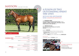 A FUSION of Two Outstanding Sprint Sire Lines Both His Sire and Damsire Were Champion Sprinters