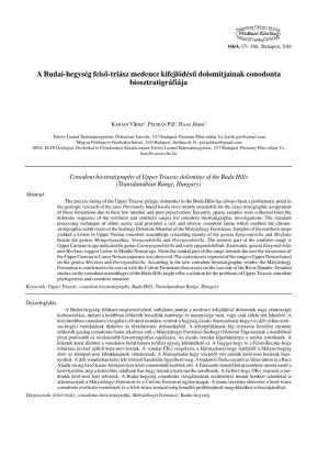 A Budai-Hegység Felső-Triász Medence Kifejlődésű Dolomitjainak Conodonta Biosztratigráfiája