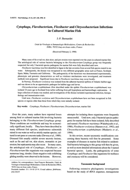 Cytophaga, Flavobacterium, Flexibacter and Chryseobacterium Infections in Cultured Marine Fish