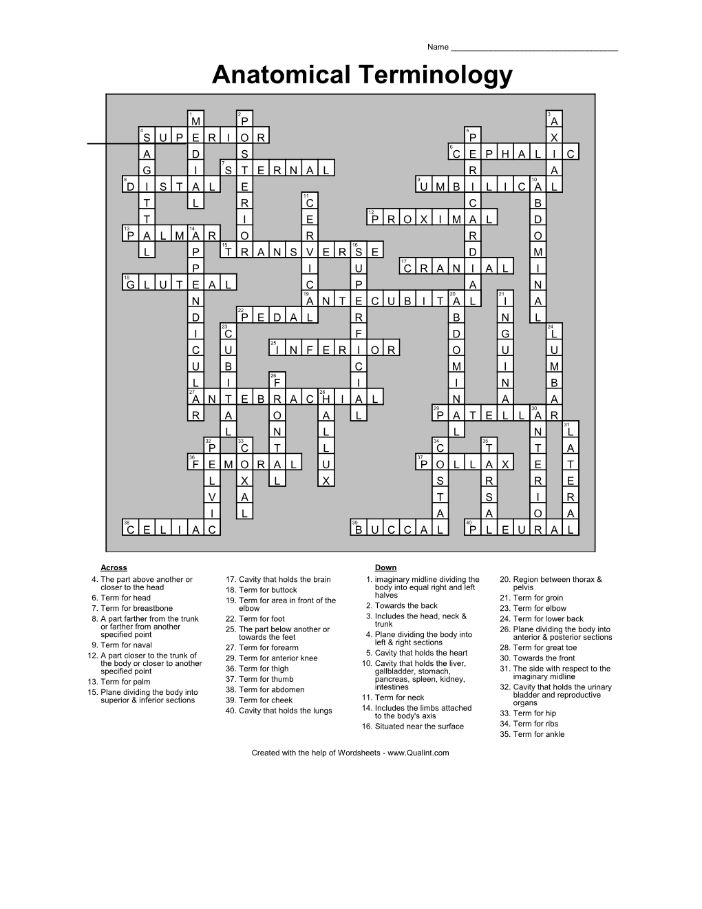 anatomical-terminology-docslib