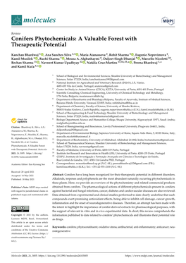 Conifers Phytochemicals: a Valuable Forest with Therapeutic Potential