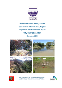 City Sanitation Plan