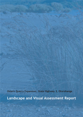 Landscape and Visual Assessment Report
