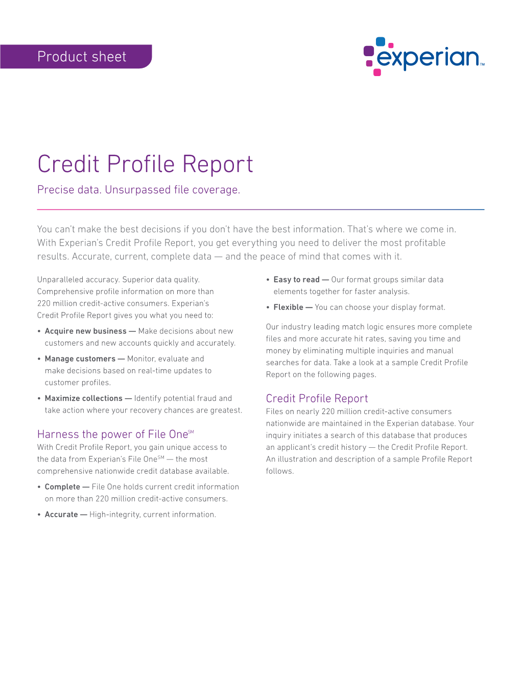 Credit Profile Report Precise Data