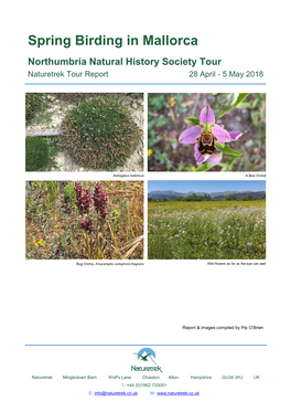 Spring Birding in Mallorca Northumbria Natural History Society Tour Naturetrek Tour Report 28 April - 5 May 2018