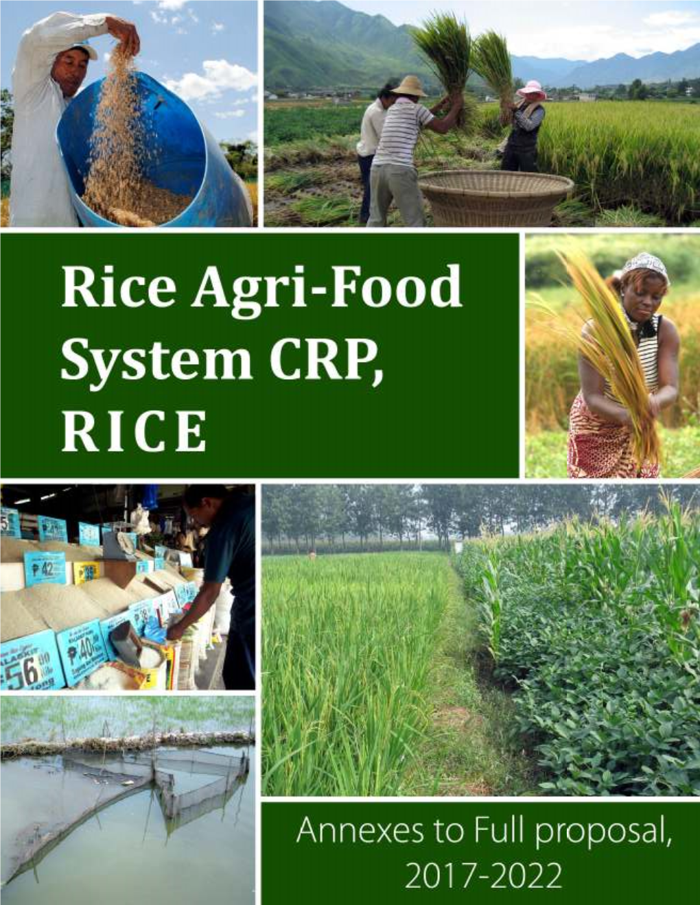 Annexes to RICE Proposal April, 2016