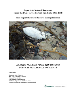 Seabird Injuries from the 1997-1998 Point Reyes Tarball Incidents