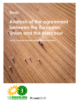 Analysis of the Agreement Between the European Union and the Mercosur